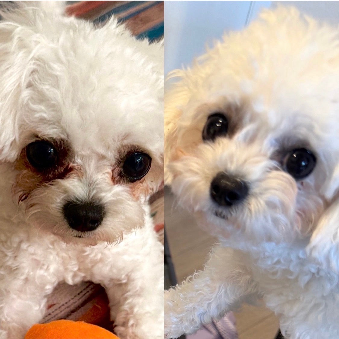 Customer before and after result