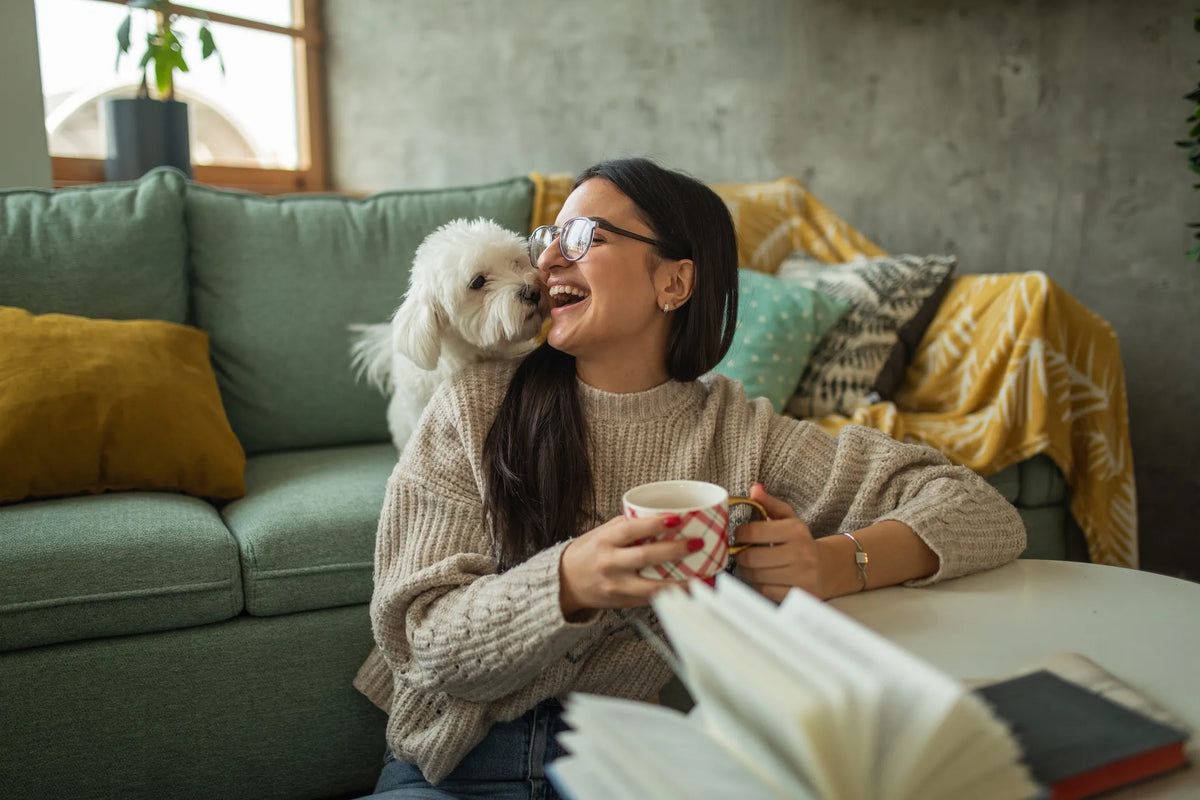 Show Me Plus™ Eye Vita for Dog Tear Stains |  Show Me Plus USA