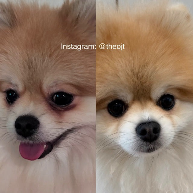 Show Me Plus USA Theoji before and after